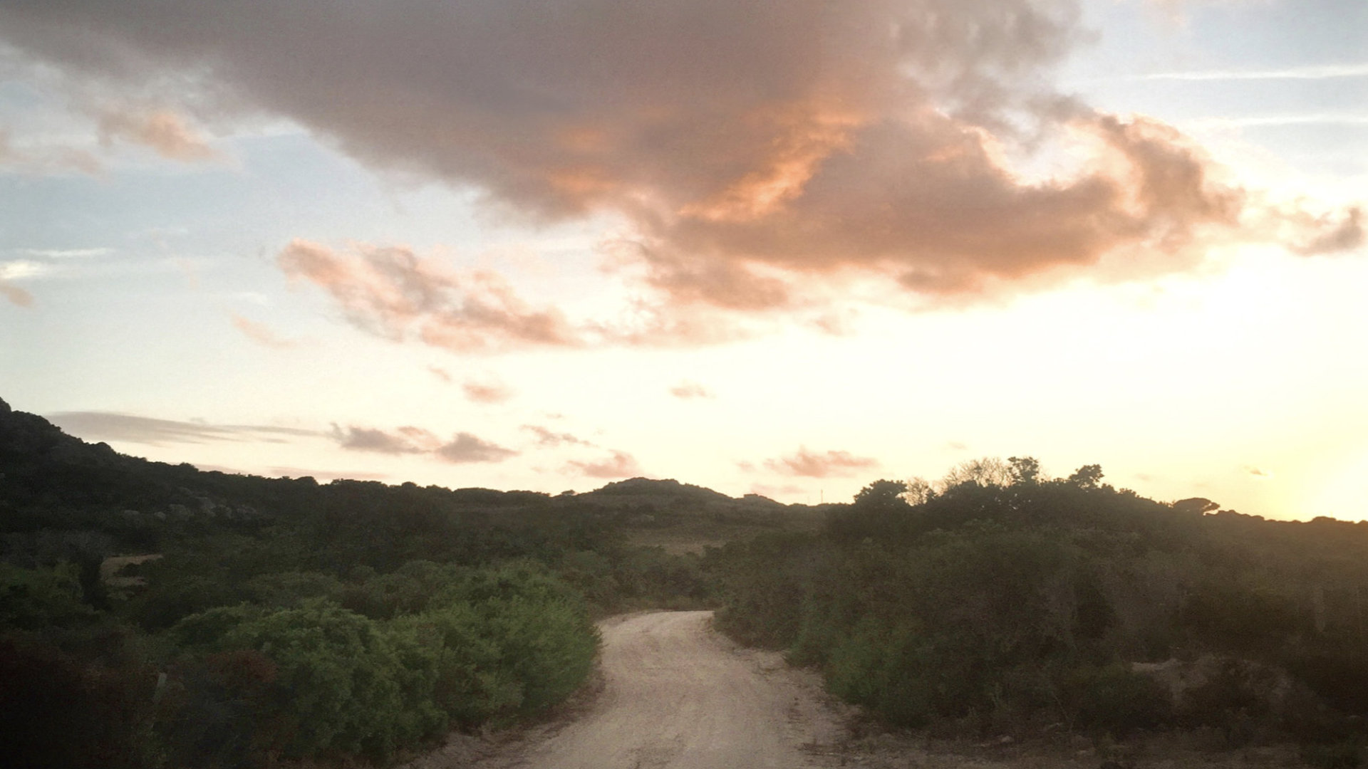 Along the Path
